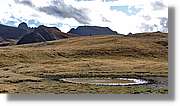 Tuca_051.jpg