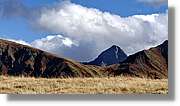 Tuca_054.jpg