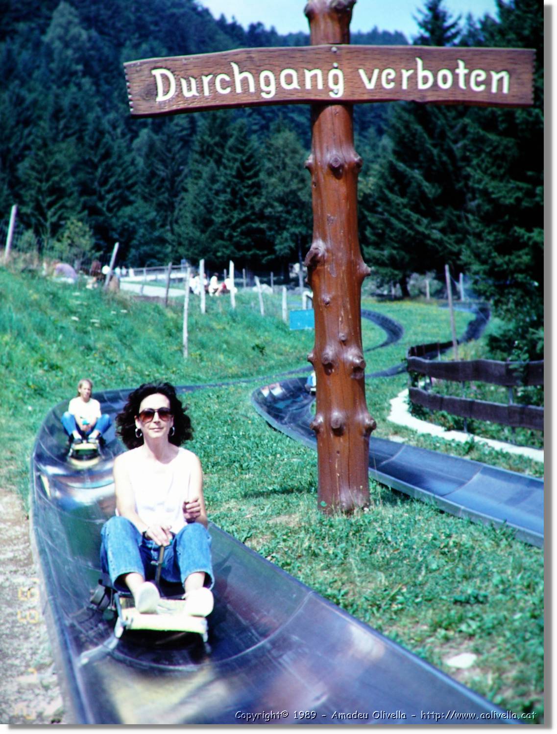 SwWald_13.jpg
