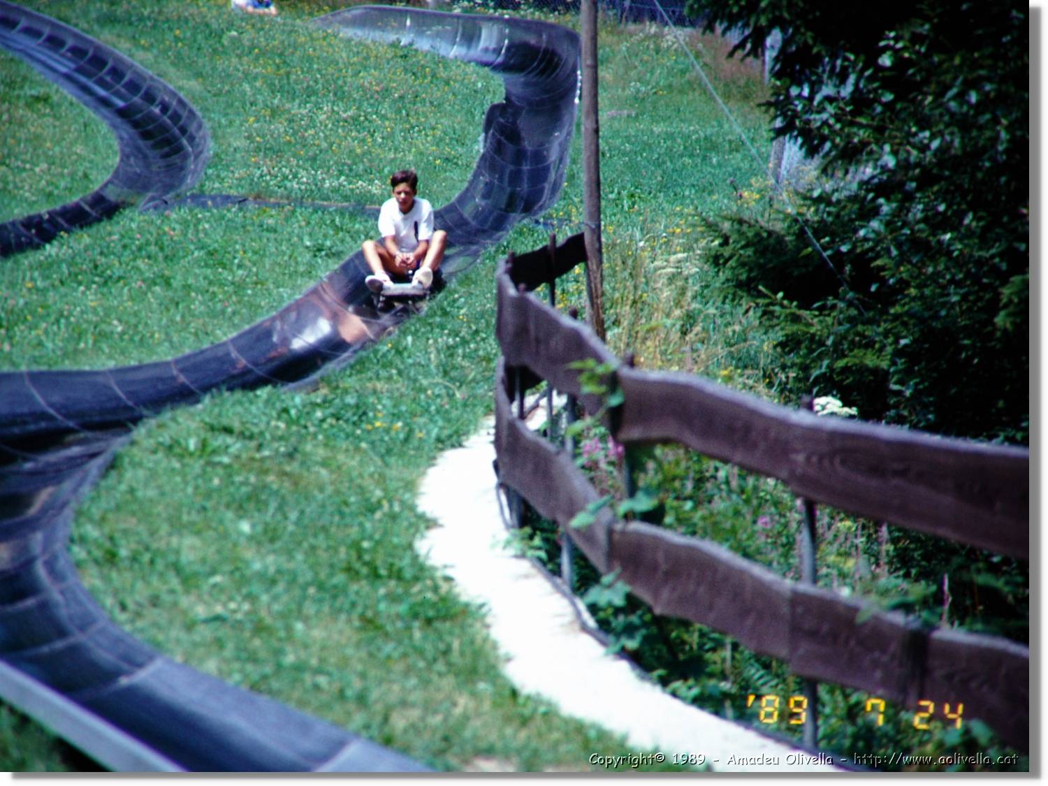 SwWald_16.jpg