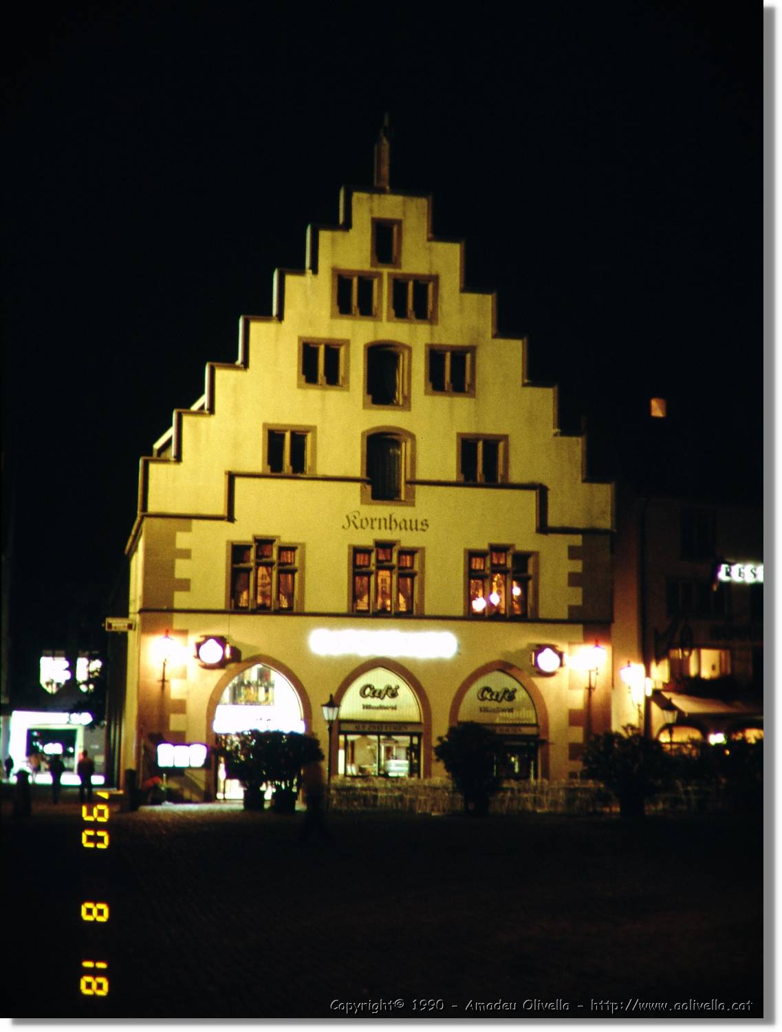 SW_Wald_10.jpg