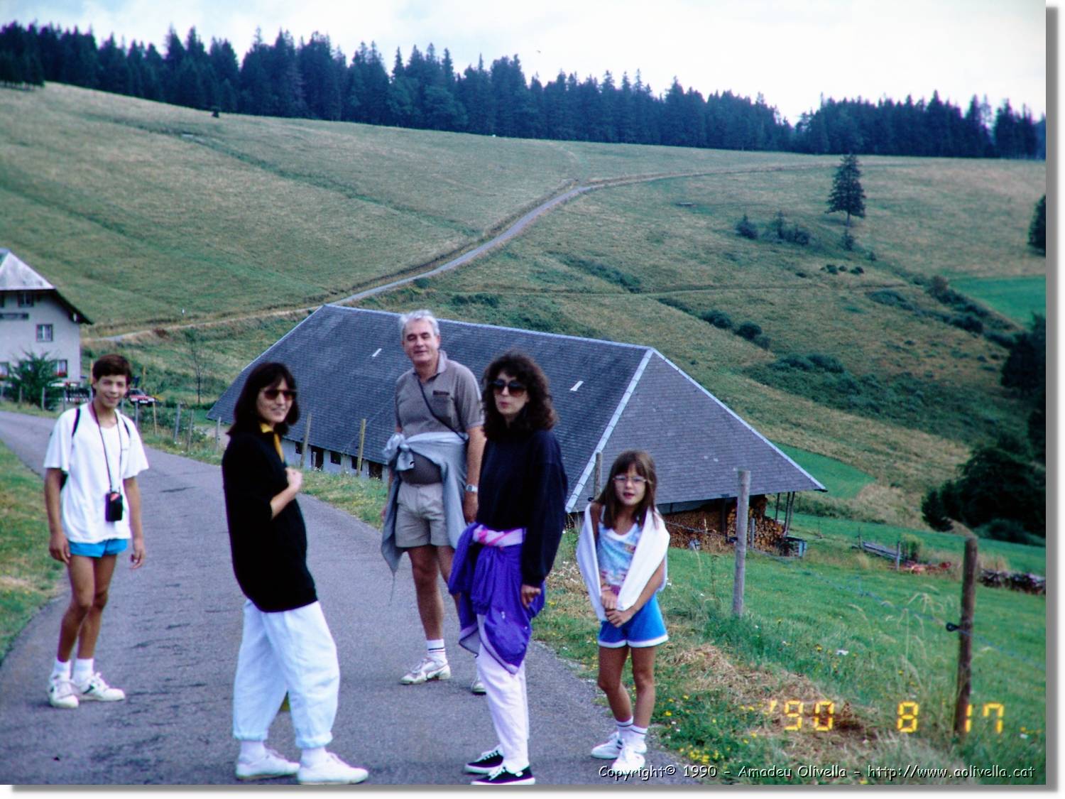 SW_Wald_20.jpg