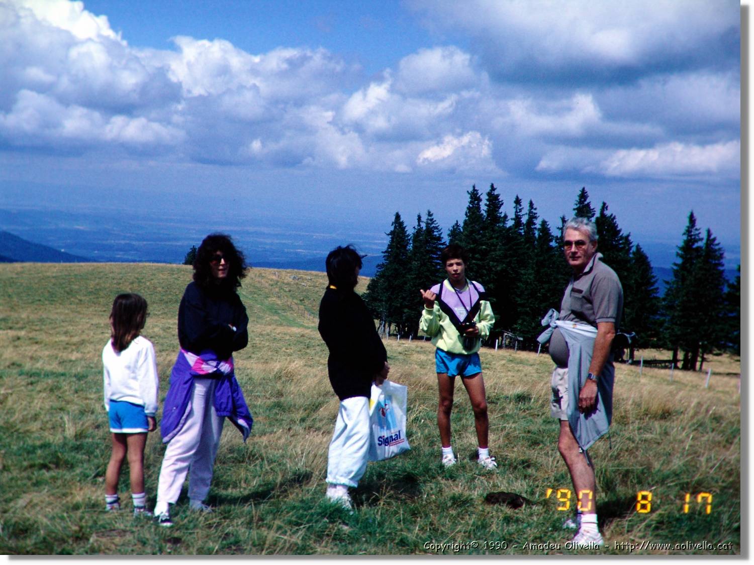 SW_Wald_22.jpg