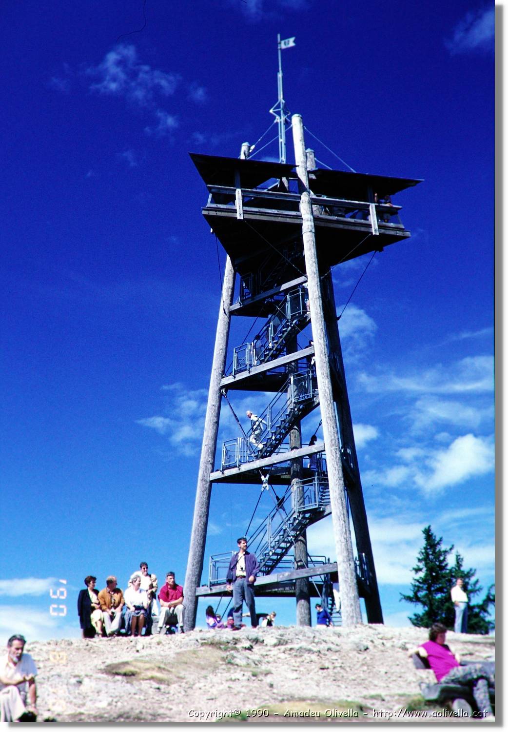 SW_Wald_32.jpg