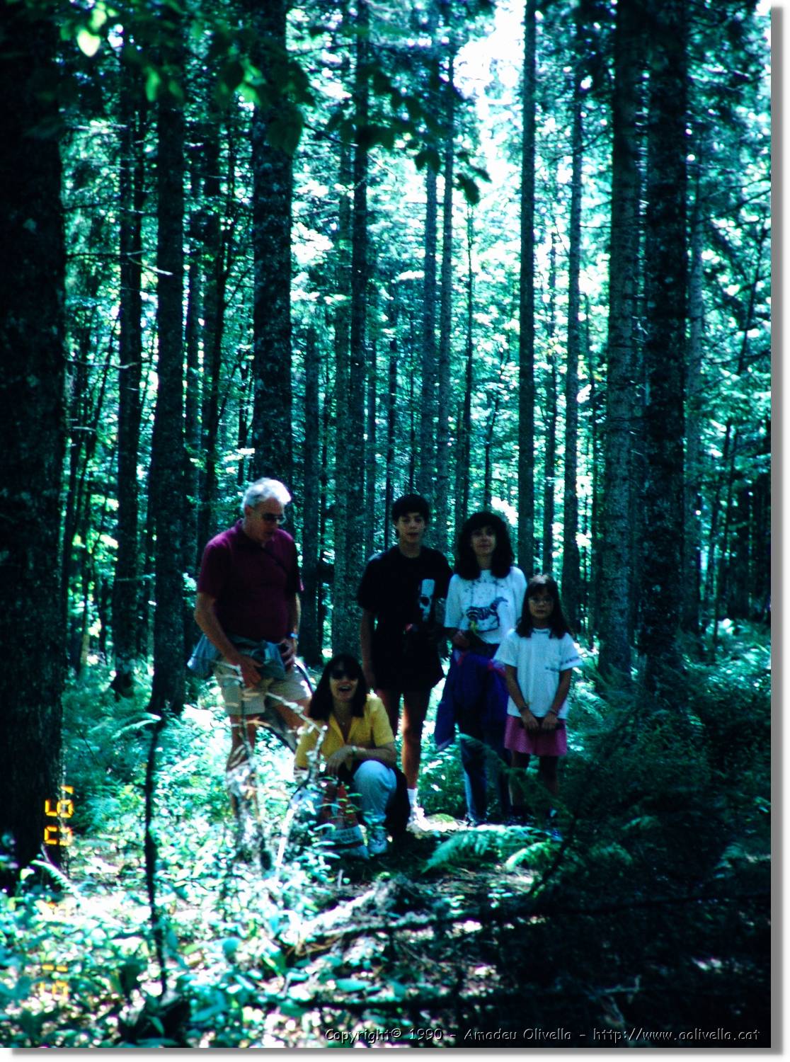 SW_Wald_38.jpg