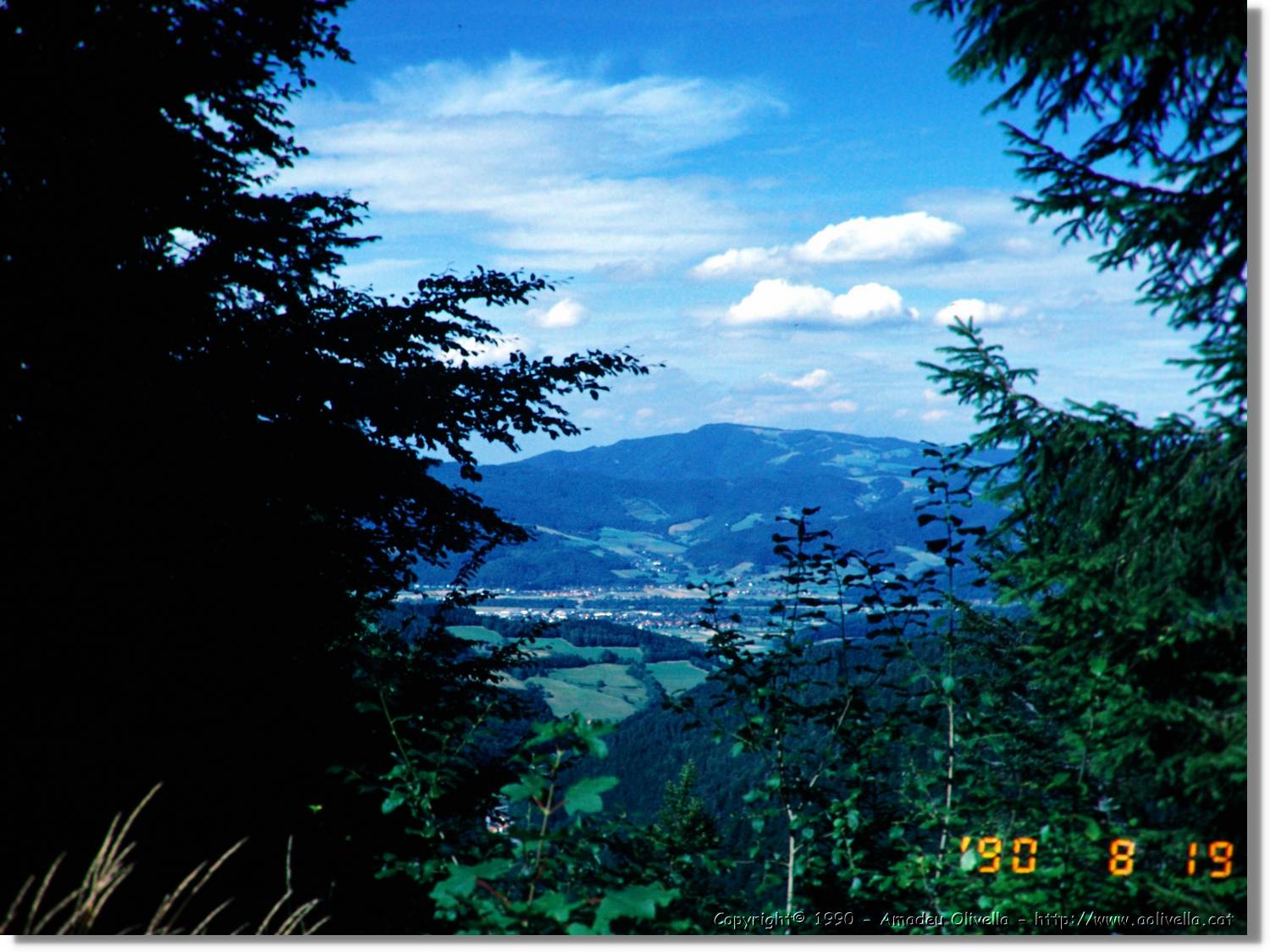 SW_Wald_44.jpg