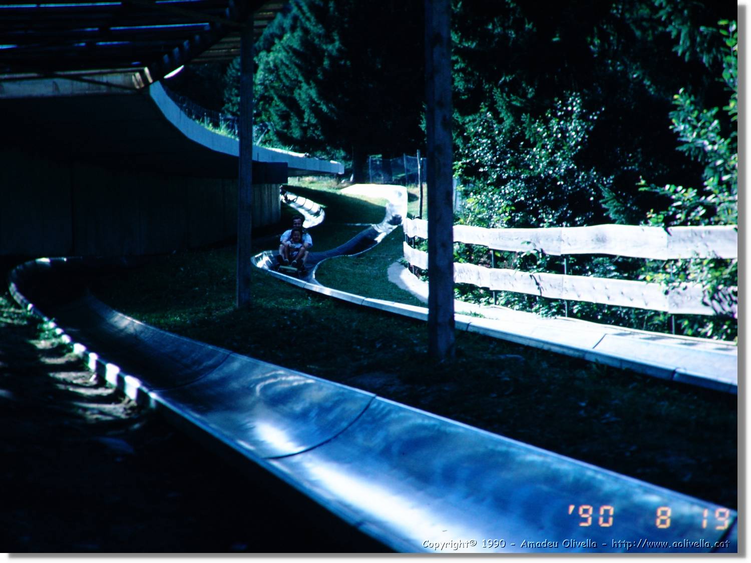 SW_Wald_46.jpg