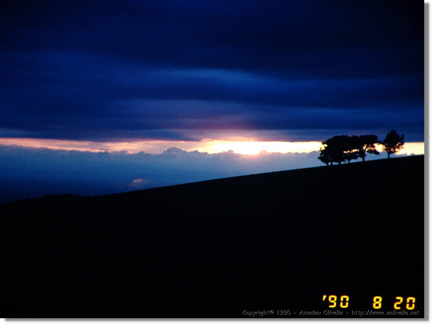 SW_Wald_50.jpg