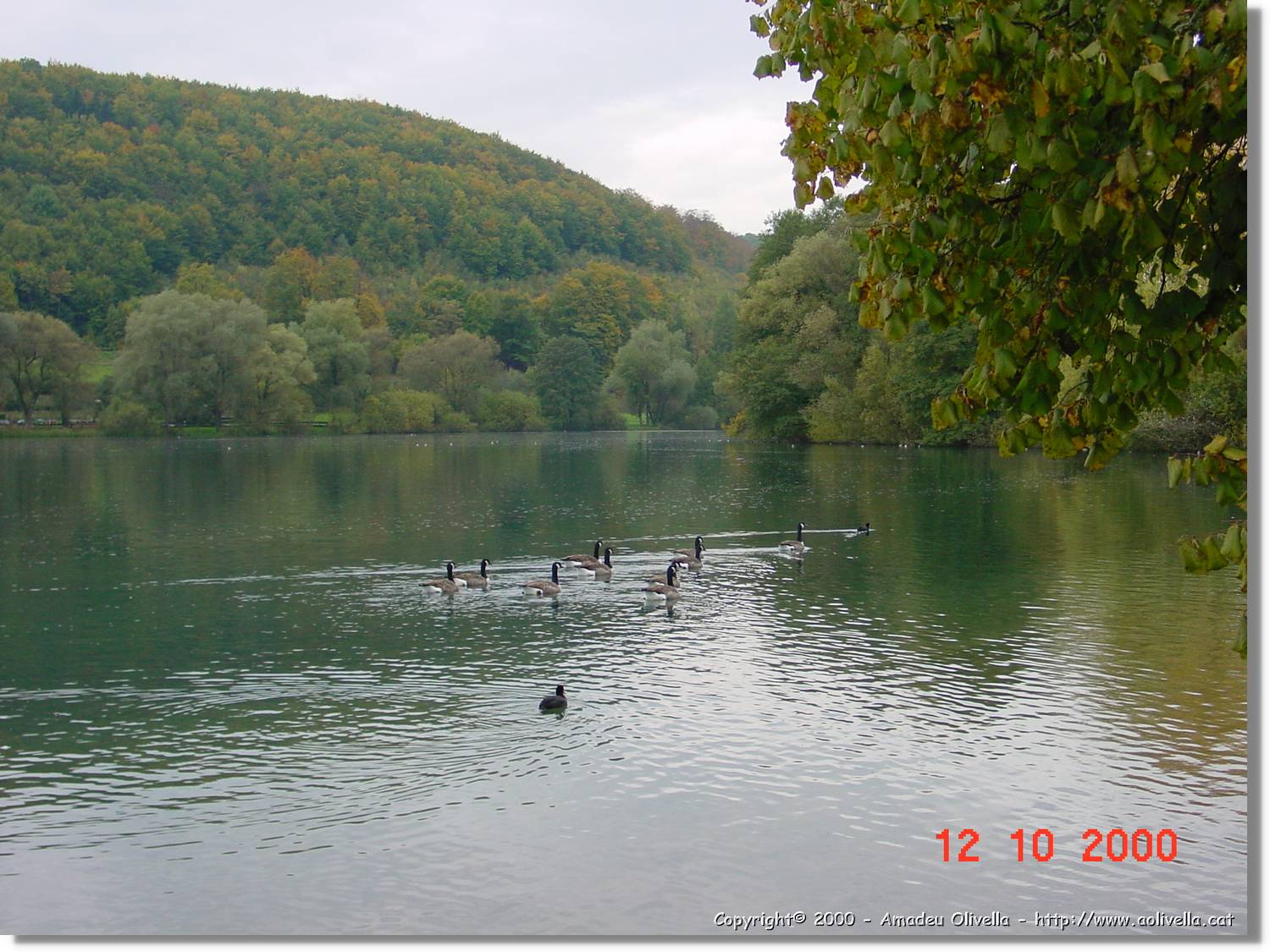 OBK_026.jpg