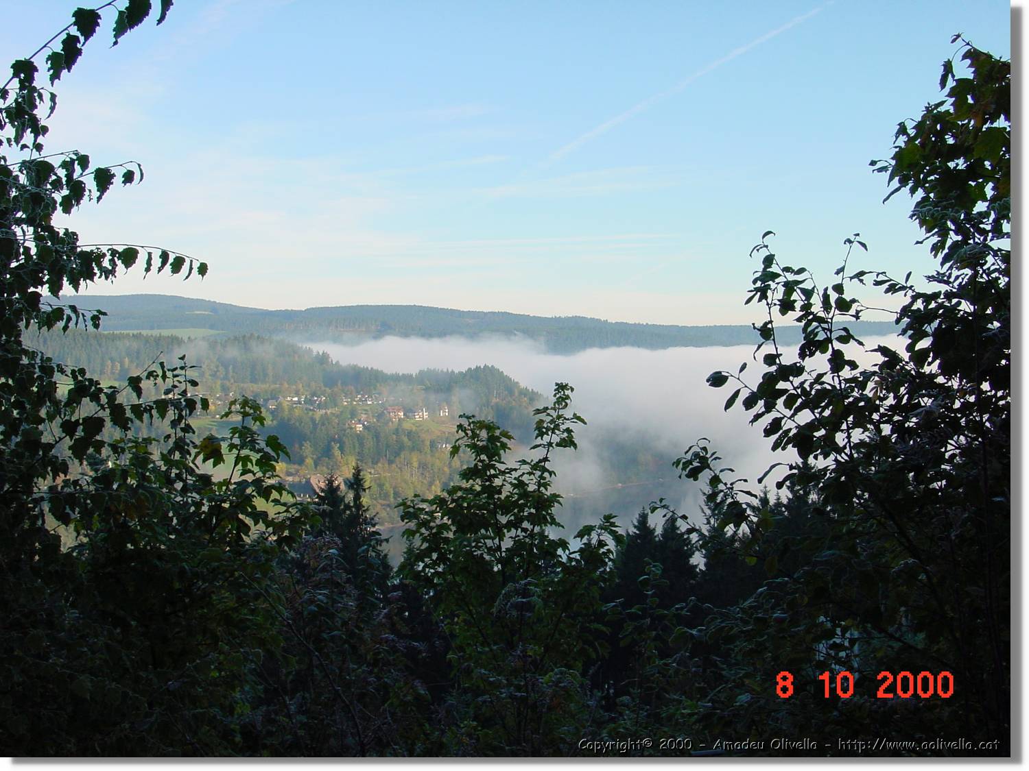 SW_011.jpg