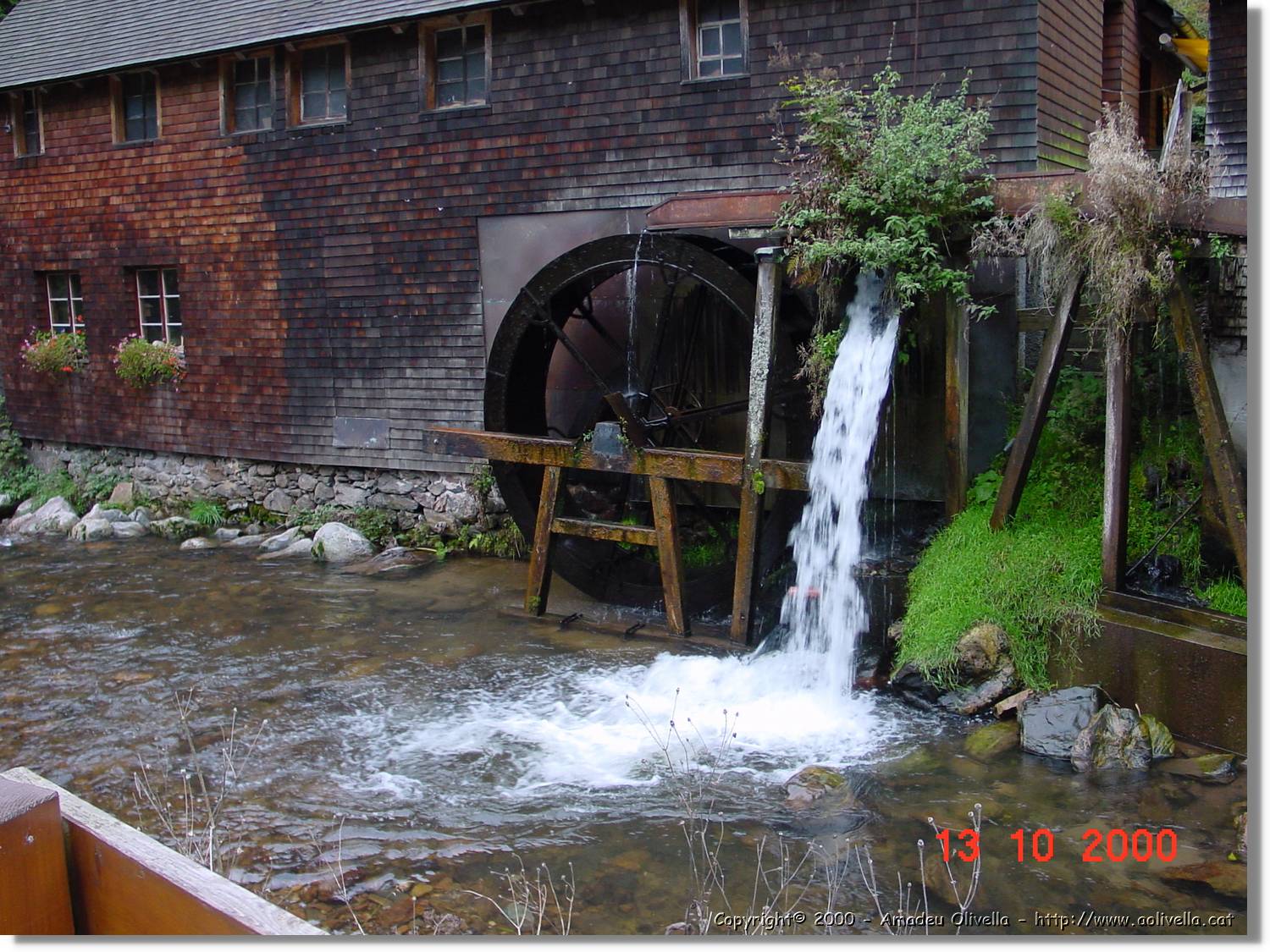 SW_038.jpg