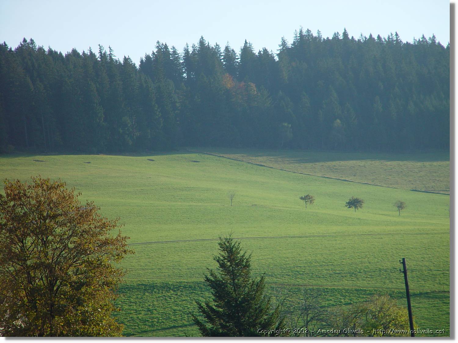 Tardor_015.jpg