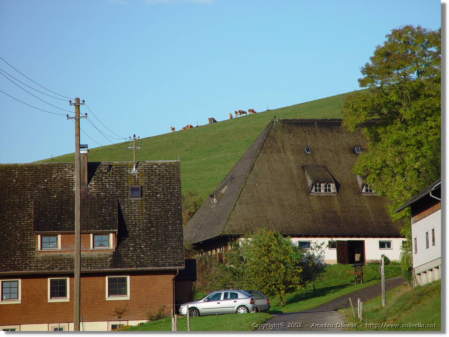 Tardor_016.jpg