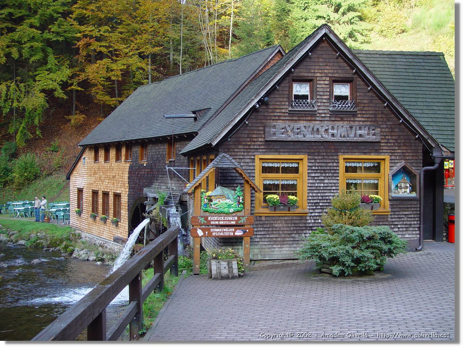 Tardor_029.jpg