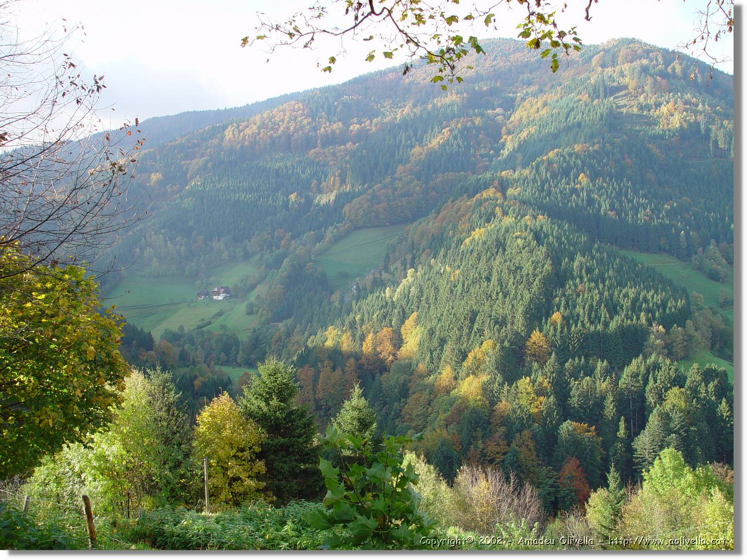 Tardor_039.jpg