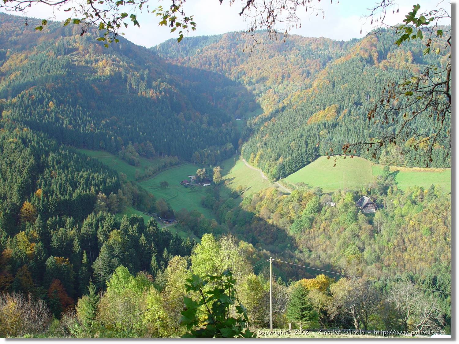 Tardor_040.jpg
