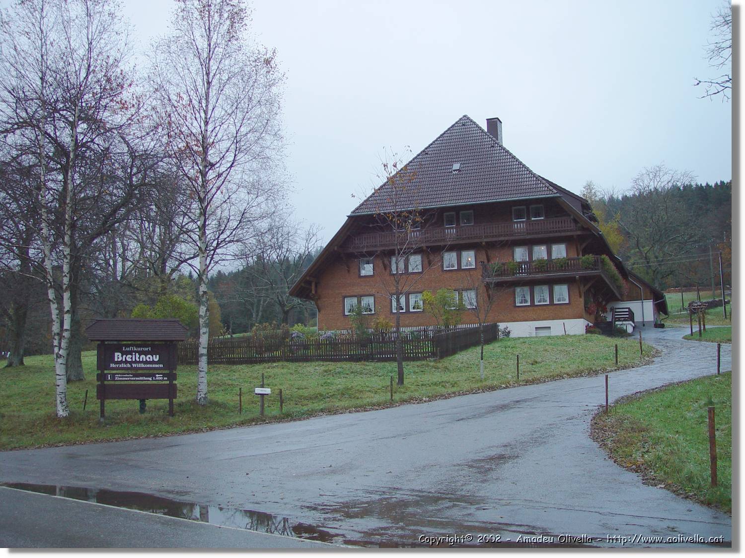 Tardor_160.jpg