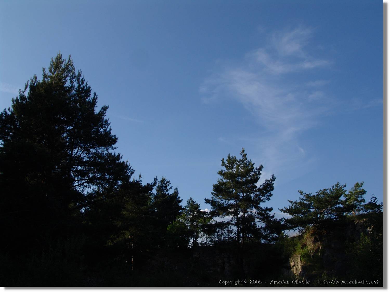 4_HDH_202.jpg