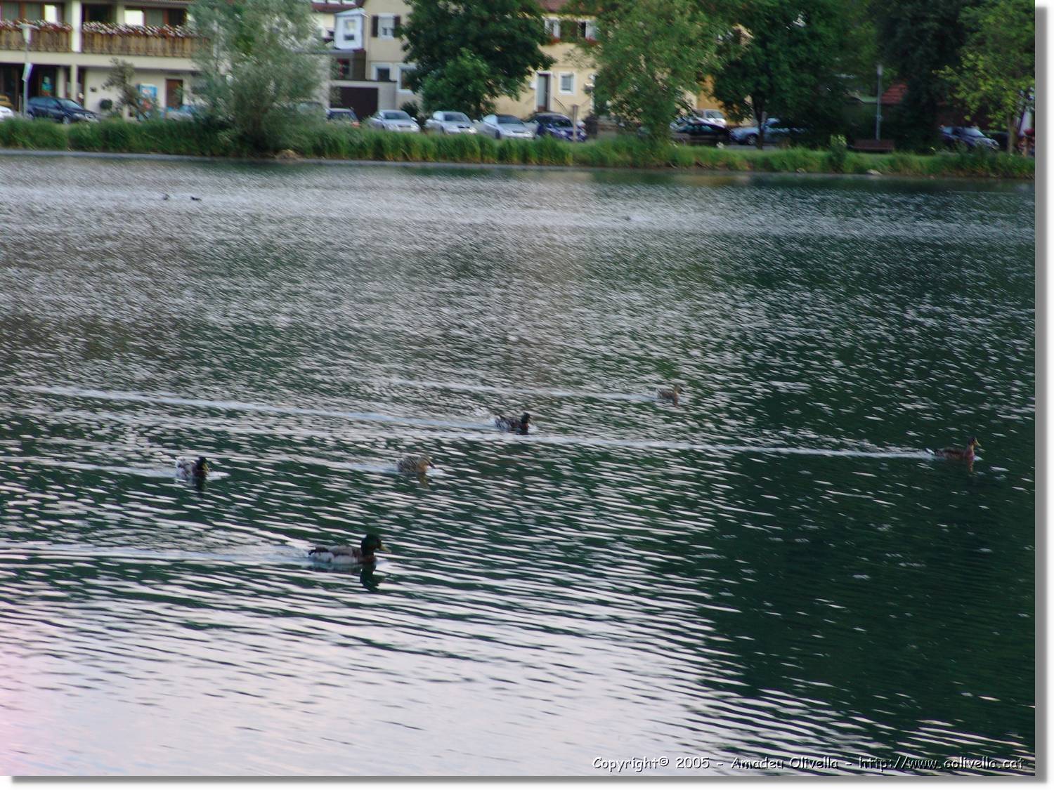 5_Izelberg_208.jpg