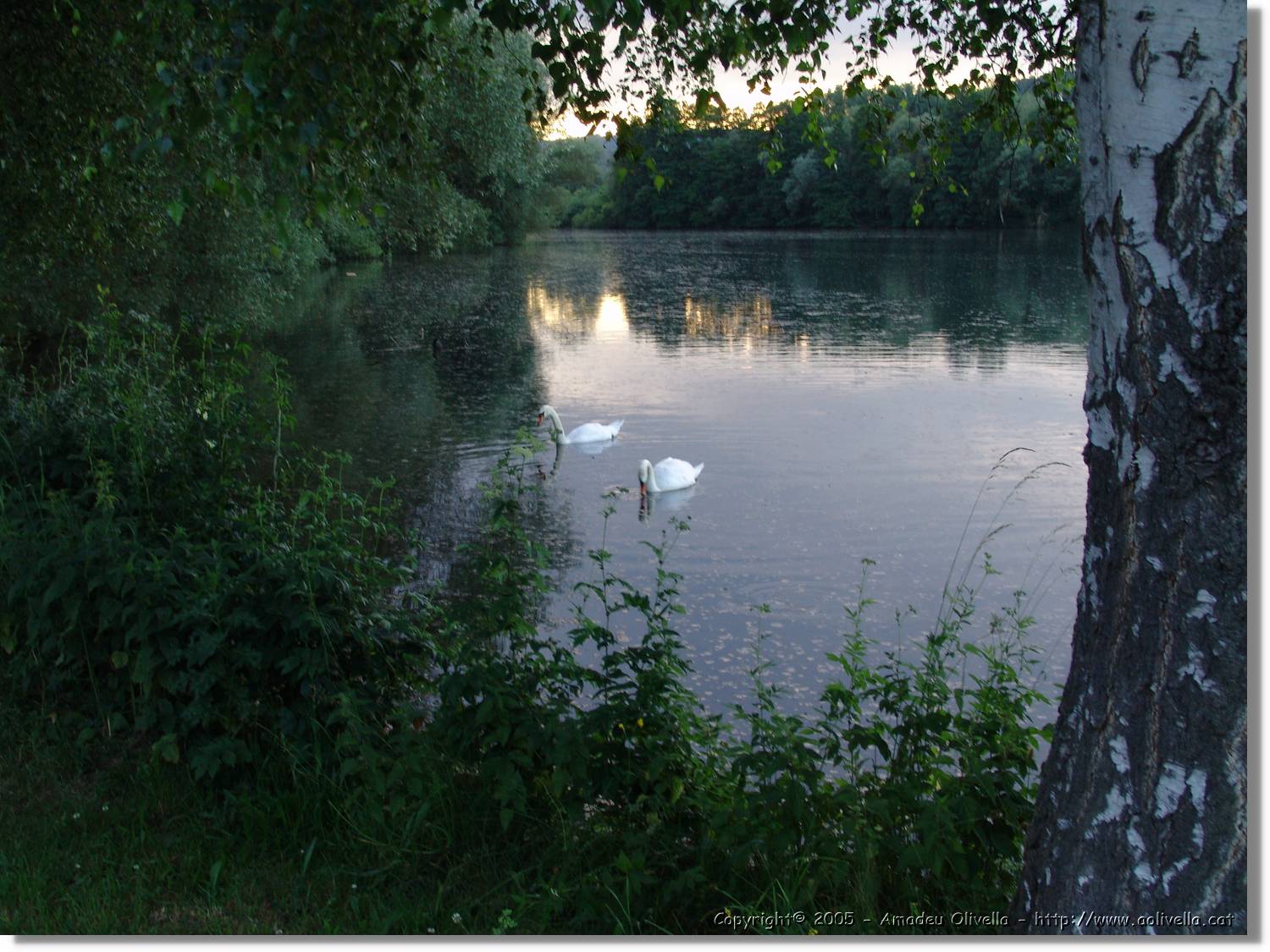 5_Izelberg_221.jpg