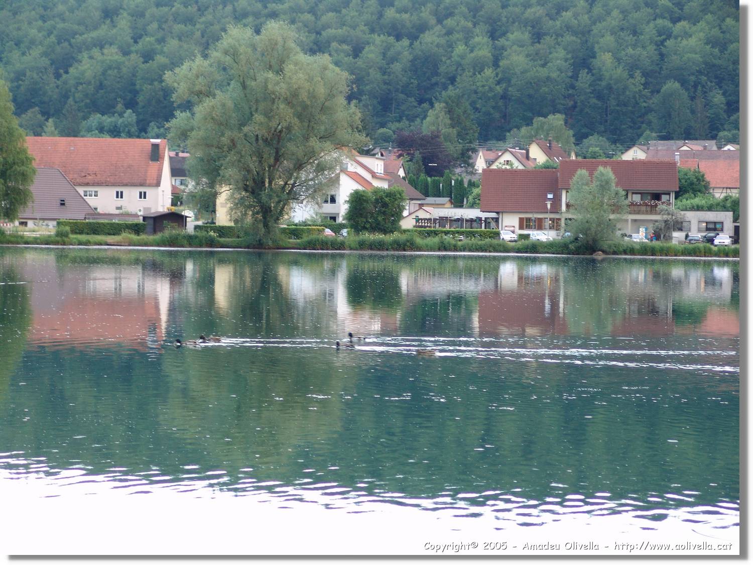 5_Izelberg_227.jpg