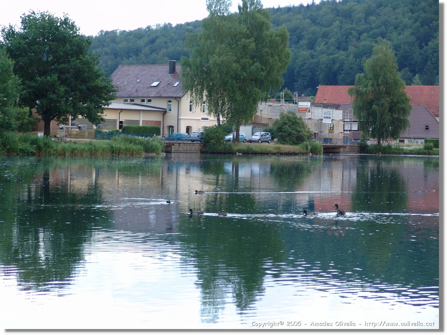 5_Izelberg_228.jpg