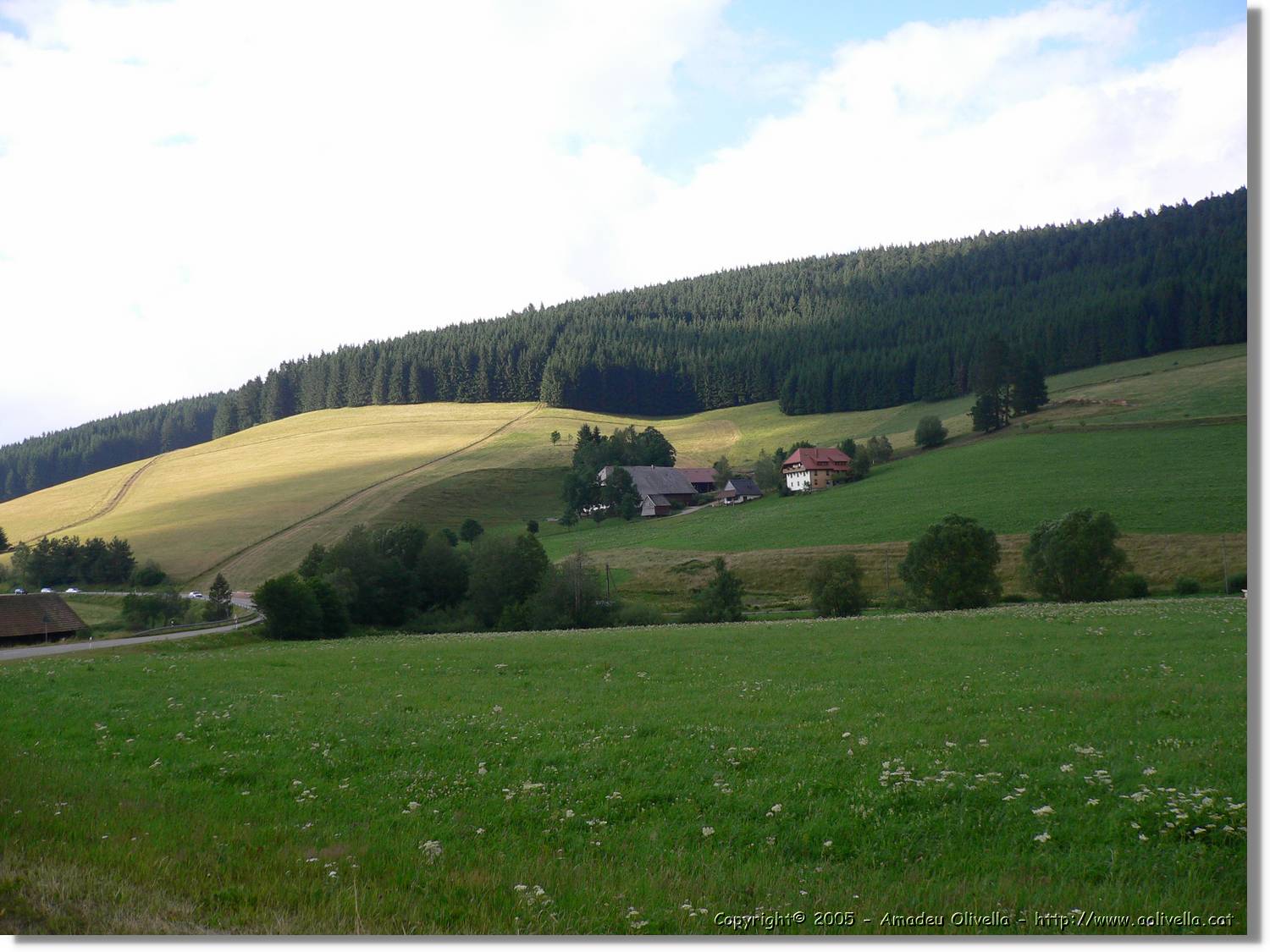 7_SW_272.jpg
