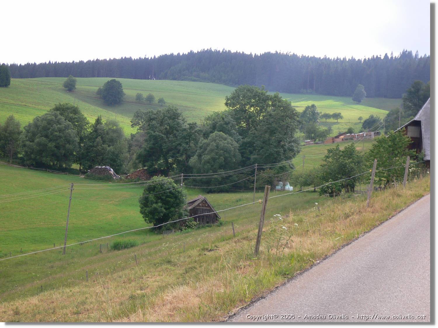 7_SW_281.jpg