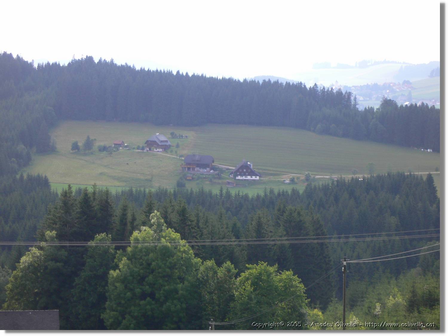 7_SW_294.jpg