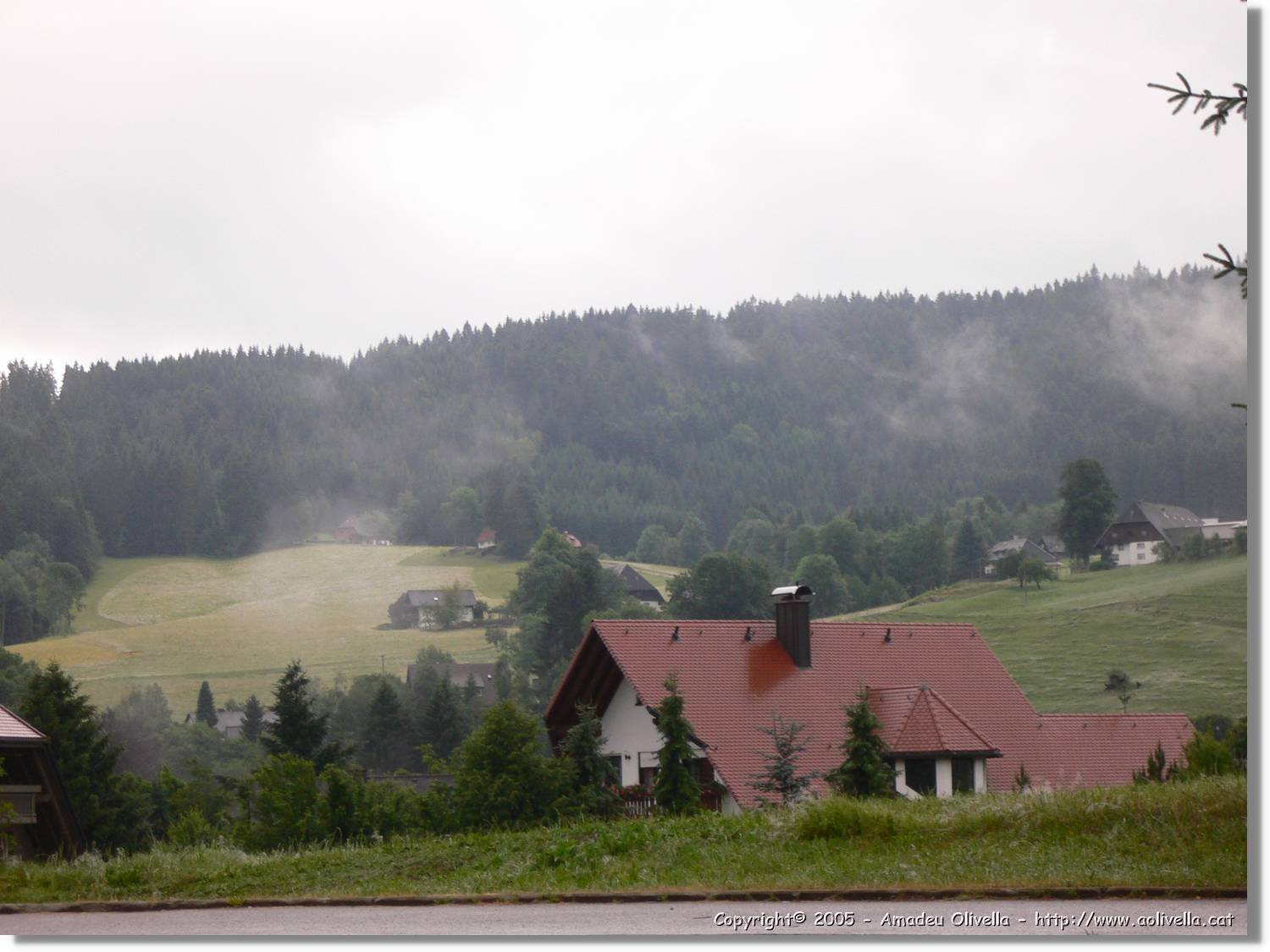 7_SW_309.jpg