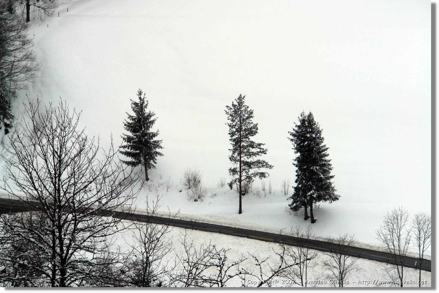 SWald_002.jpg