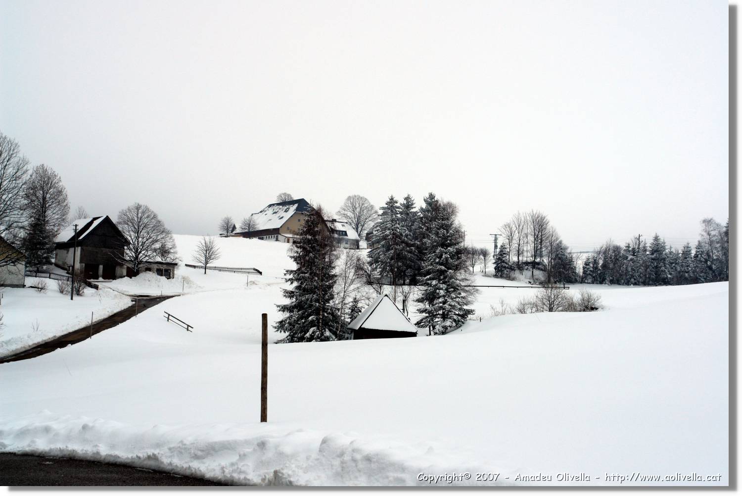 SWald_015.jpg