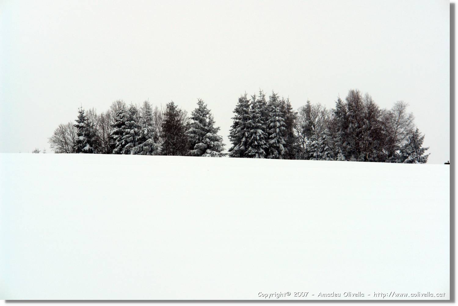 SWald_016.jpg