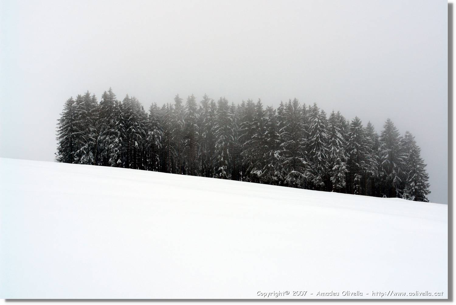 SWald_017.jpg