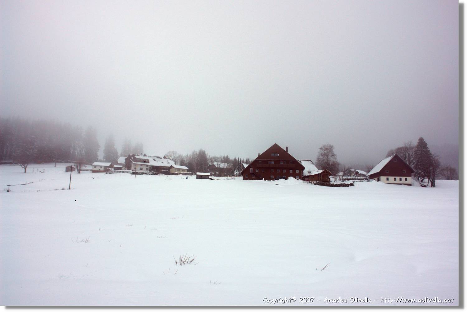 SWald_040.jpg