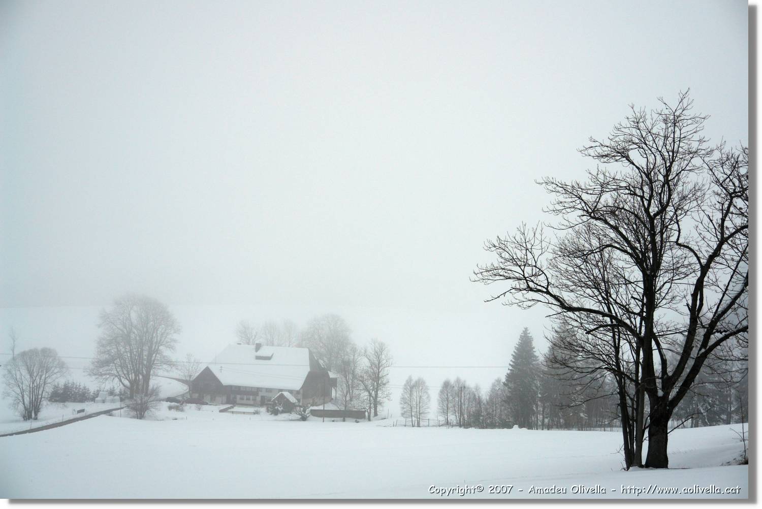 SWald_042.jpg