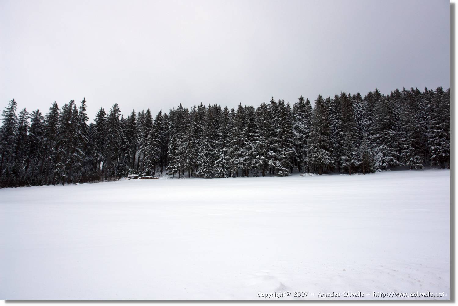 SWald_044.jpg