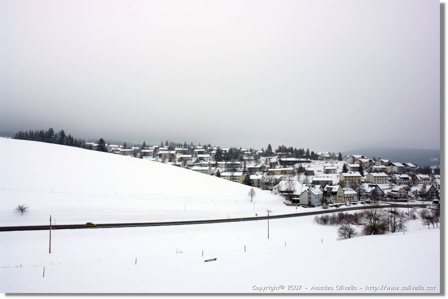 SWald_141.jpg