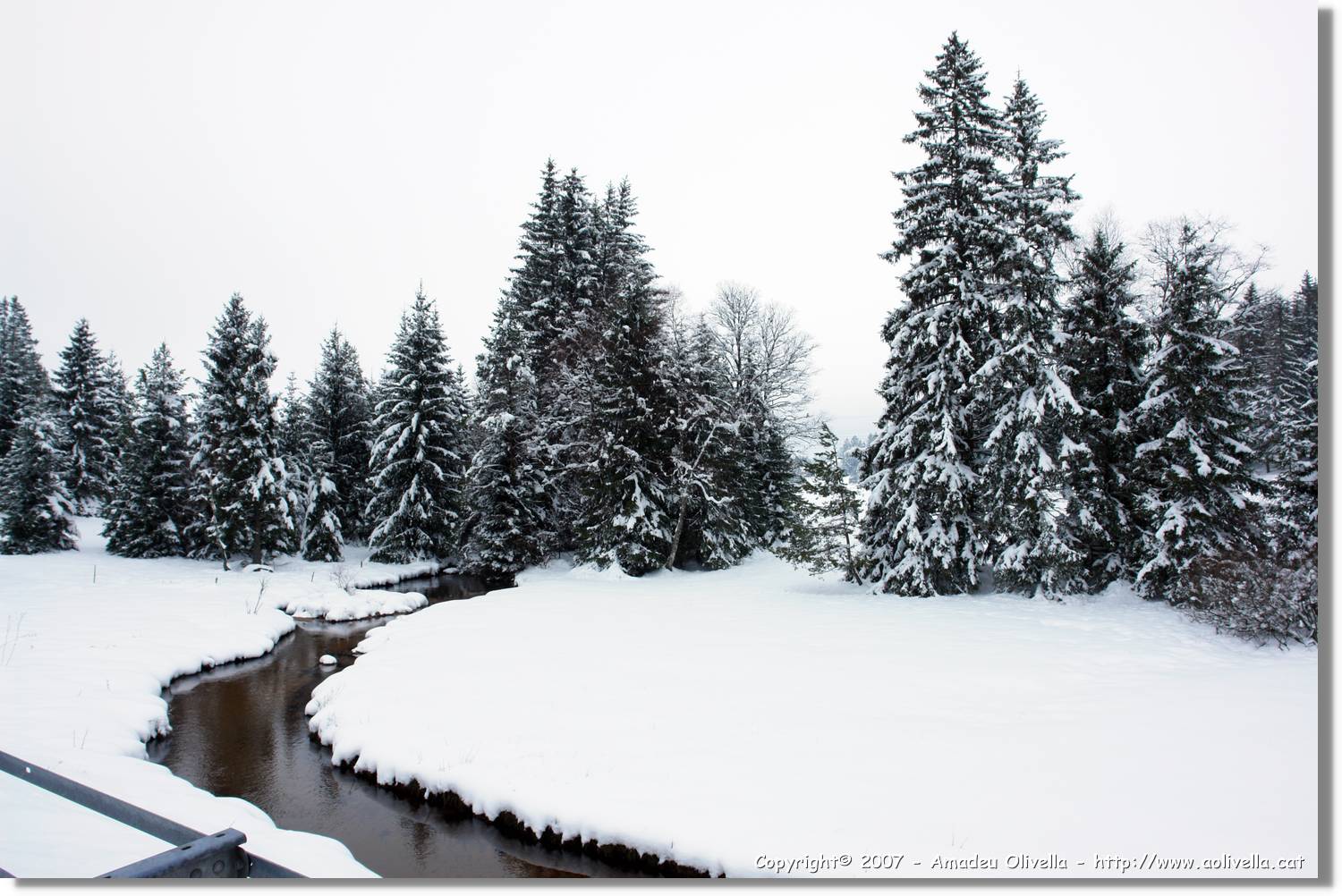 SWald_149.jpg