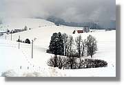 SWald_012.jpg