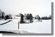 SWald_015.jpg