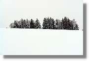 SWald_016.jpg