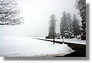 SWald_021.jpg