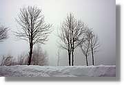 SWald_034.jpg