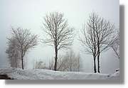SWald_035.jpg