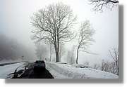 SWald_036.jpg
