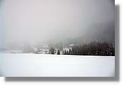 SWald_037.jpg