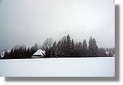 SWald_039.jpg