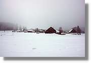 SWald_040.jpg