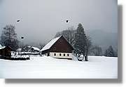 SWald_041.jpg